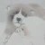 びびちゅん