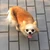 ひーちゃん