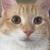 ヒロ