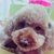 かくちゃん