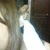 monmon