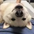 ぽち