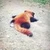 ユウキ