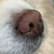 ふっちゃん