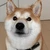 ryo09RYO