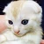 まーさん
