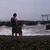rueshe