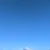 ほーりー