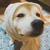 ryusuke