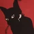 黒猫