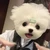 黒毛和牛