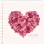 roserose