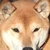 まやかし