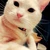 ゆうは