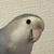 PrincePea
