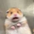 ちなぴょむ