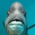 海洋がサンサン