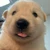 ペコペコ