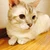 うめちゃん