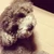 Yuko