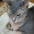 maitti09