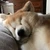 まあたそ