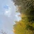 ume