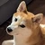 florian_kaz