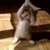 うさえ