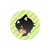 ovin