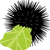 こやにえ