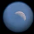 Bluemoon