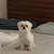betty