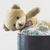 rasptestbear