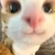 さしみ