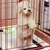 しーちゃん