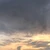 md