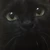 miaow