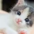 けいた