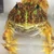 ゆりりん