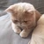 するめちゃん