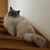 うに