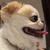 かーうぇぃん