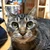 エビゾ