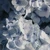 urea