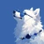 Rollo111