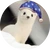 だるぽ丸