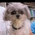 うなぎ