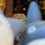 トトロサンポッポ