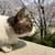ArYu